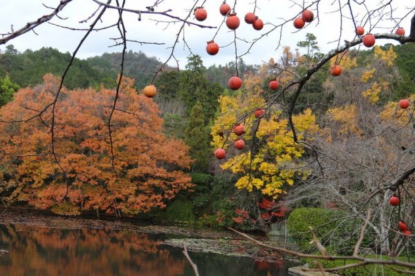 Кракен магазин kraken4am com