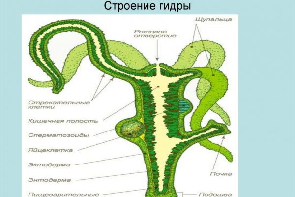 Кракен зайти